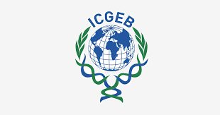 icgeb