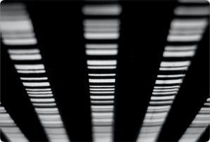 labeler-barcode-maker-for-office